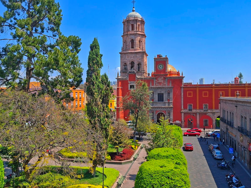 Jardín Zenea