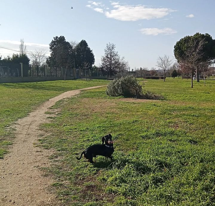 Parque de El Baldío