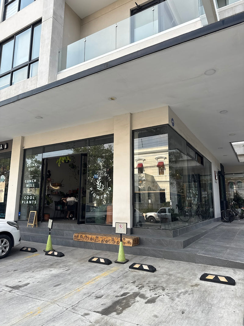 Pigmento Café Sabor Vivo