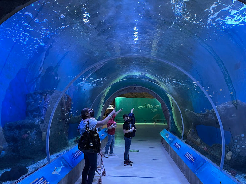Acuario del Zoológico Guadalajara