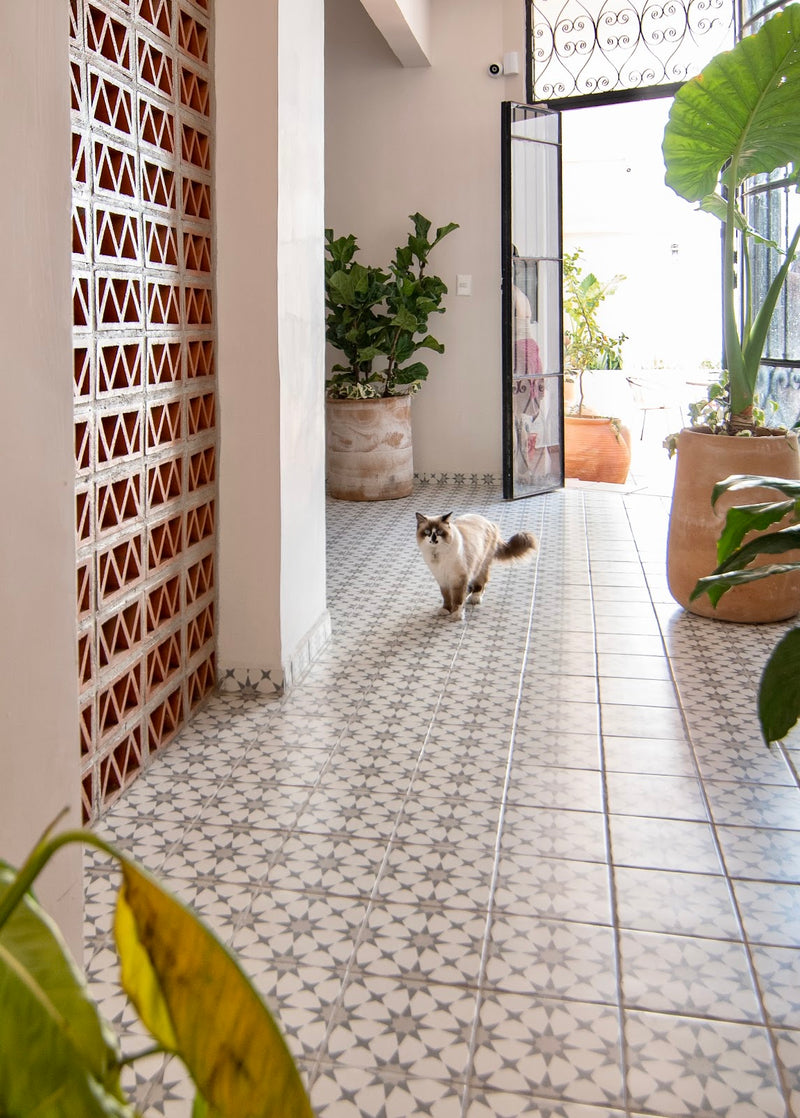 Casa Irake