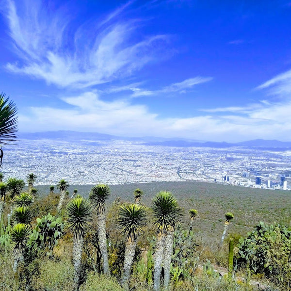 Foto de Google Maps