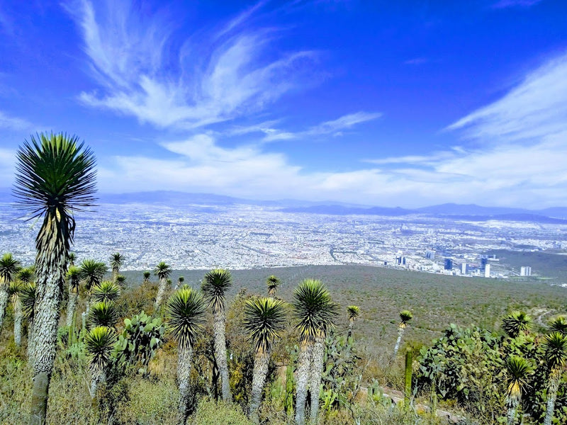 Parque Nacional El Cimatario