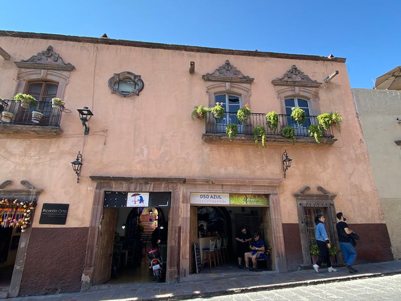 Café Oso Azul