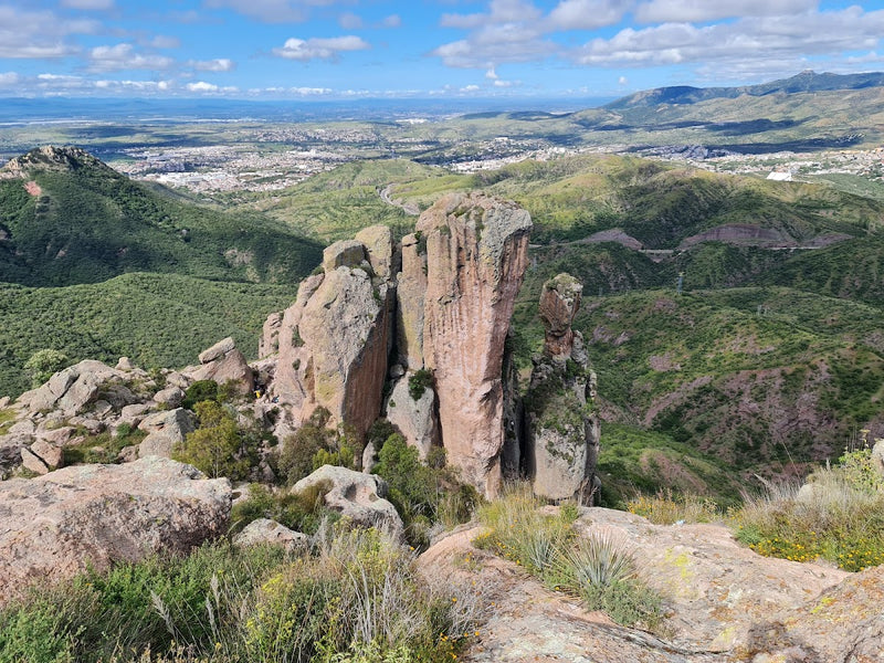 El Cerro de La Bufa