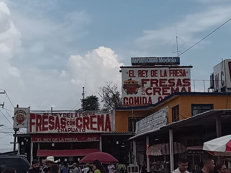 Paradero El Rey de la fresa