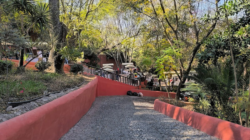 Parque El Chorro