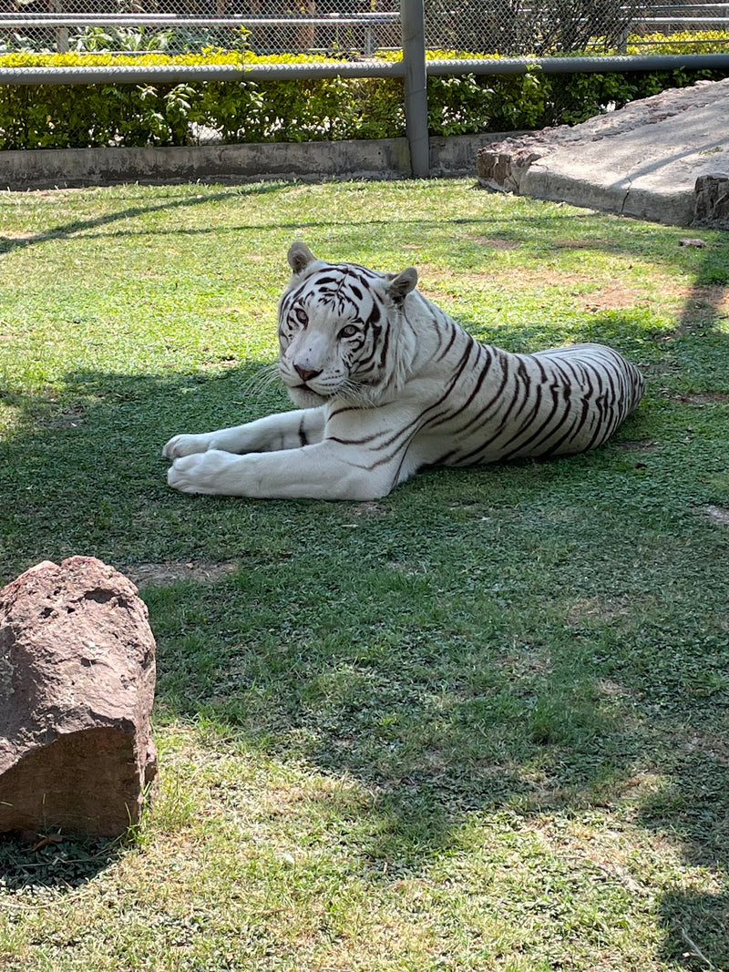 Parque Zoológico de Irapuato
