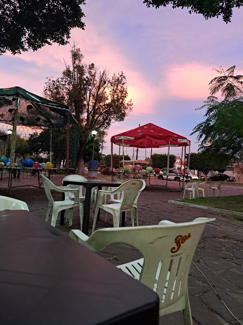 Jardín Lázaro Cárdenas del Río