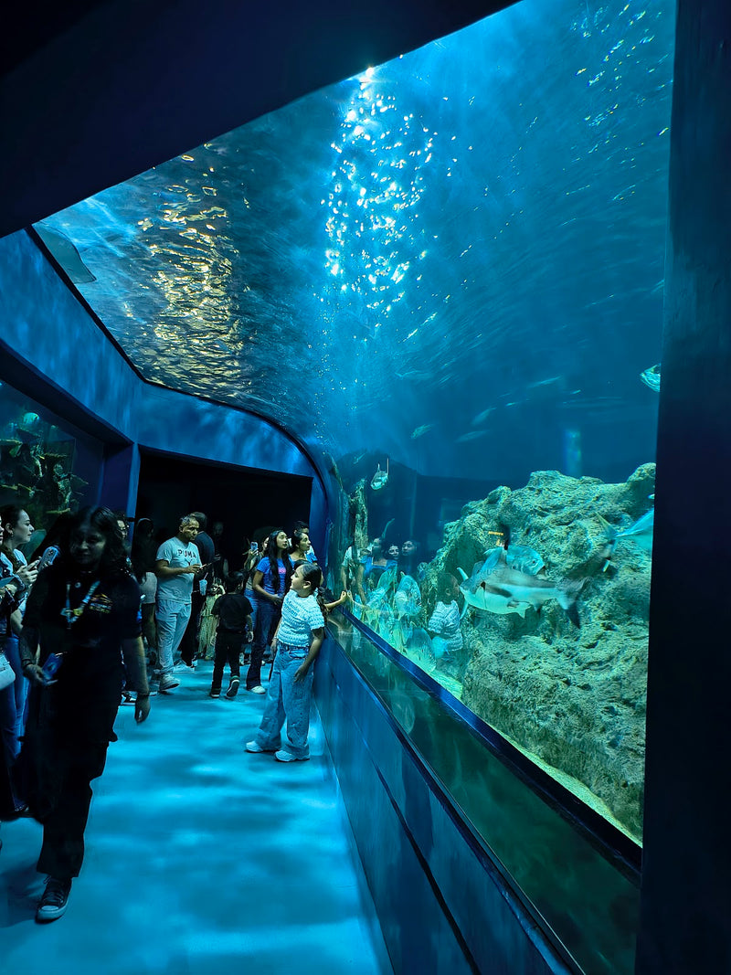 Acuario Michin Guadalajara