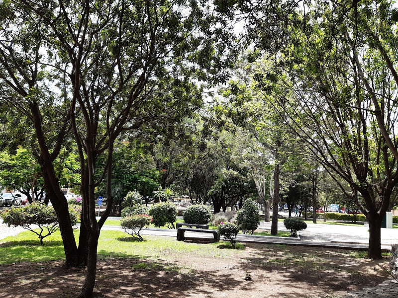 Parque Valle del Campestre