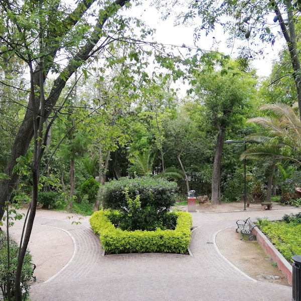 Foto de Google Maps