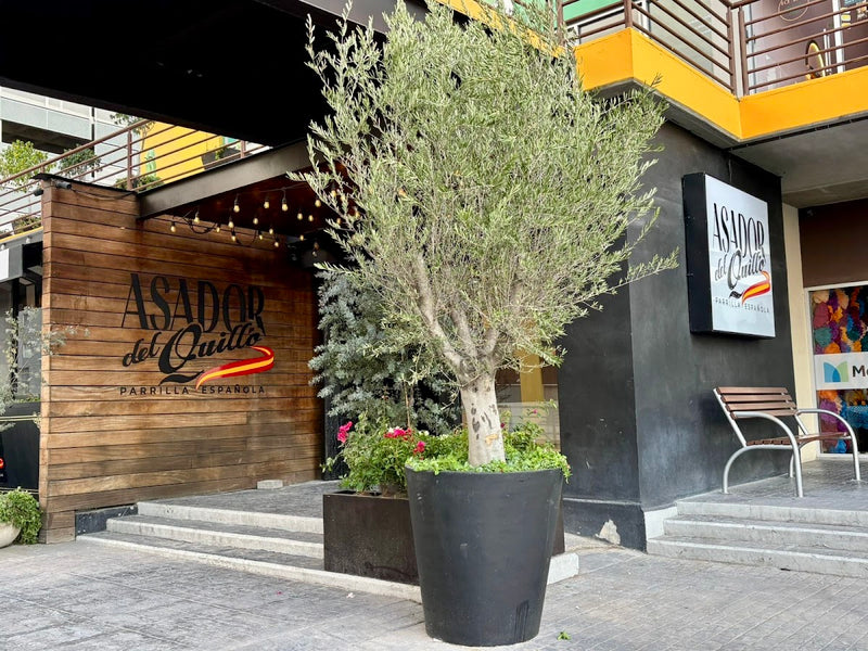 Asador del Quillo