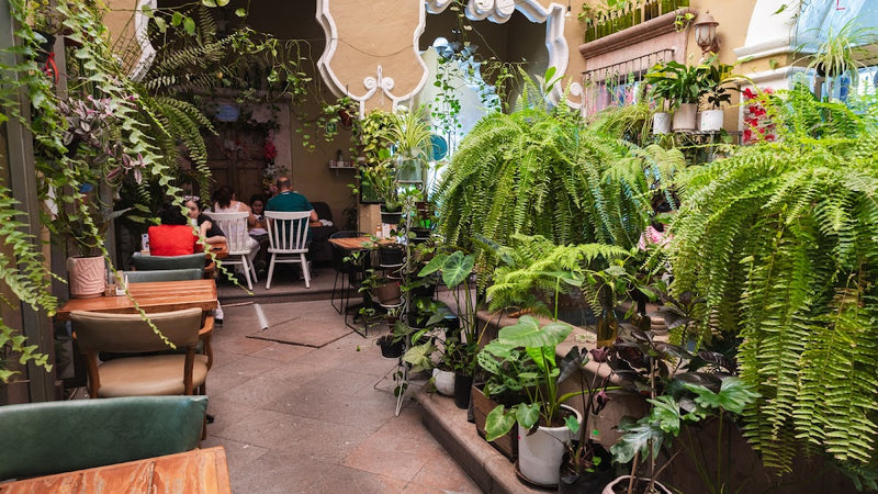 El jardín de Azu