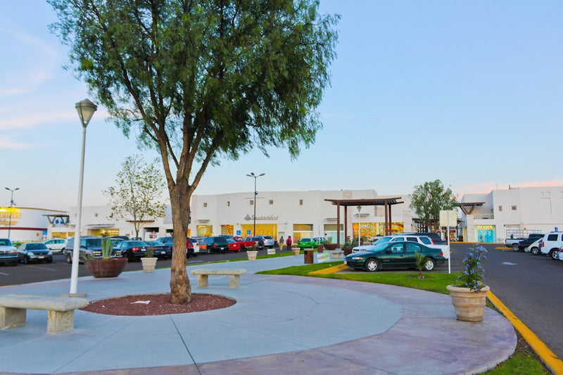 Plaza La Luciérnaga